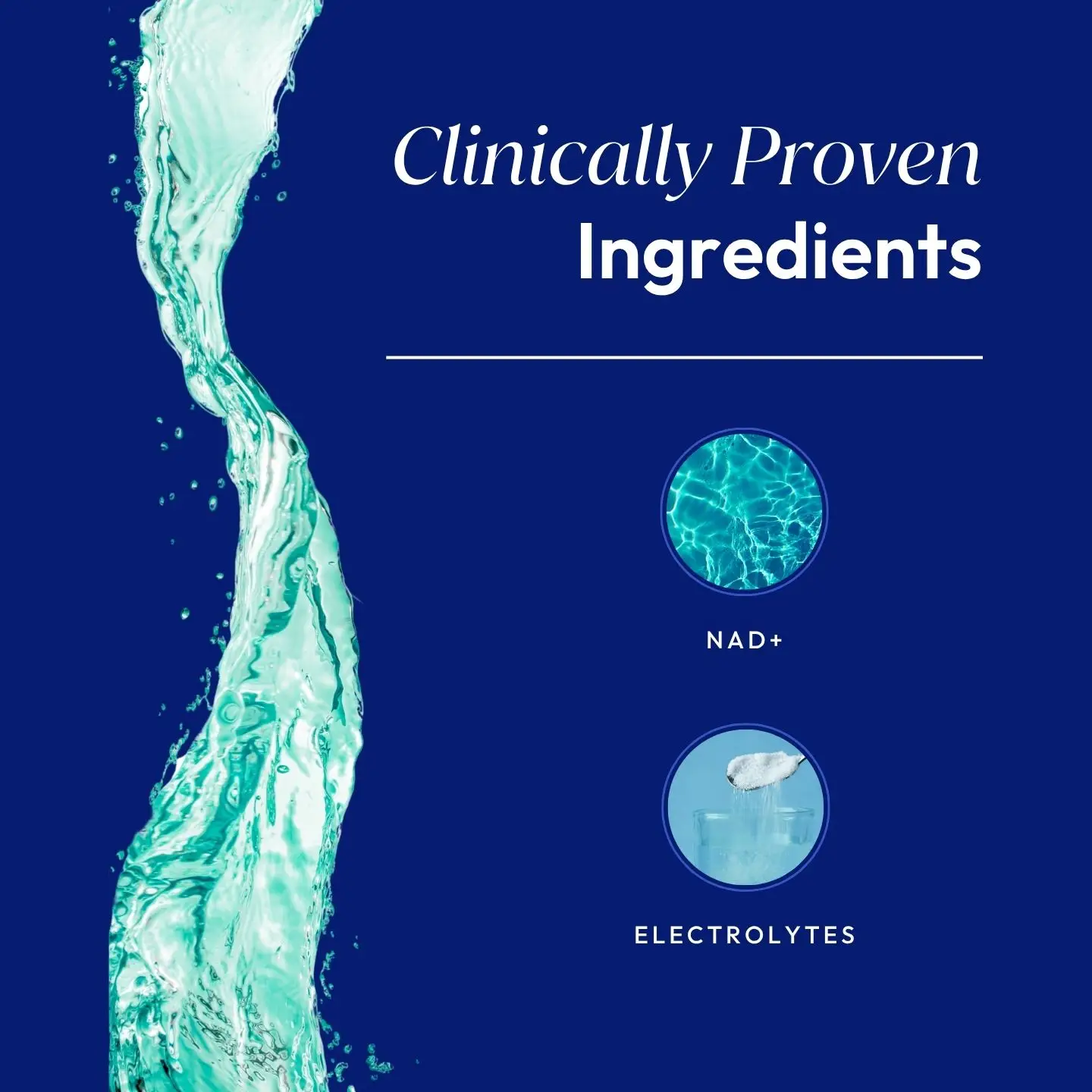 Ingredient Breakdown - 2026 Update