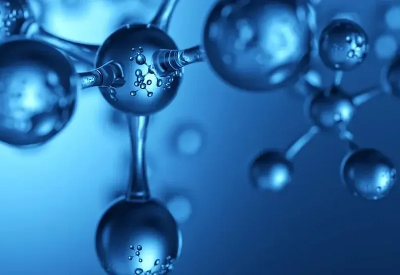 What Is NAD+?